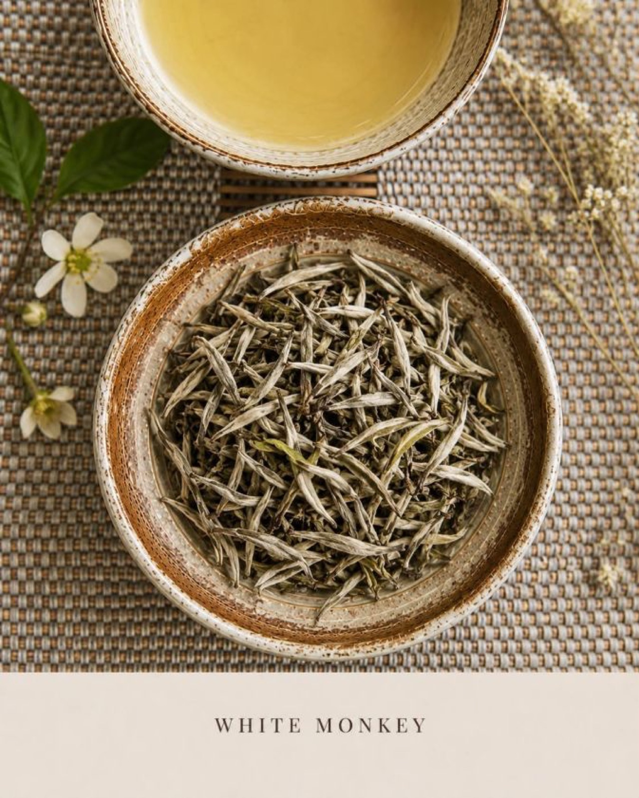 White Monkey White Tea